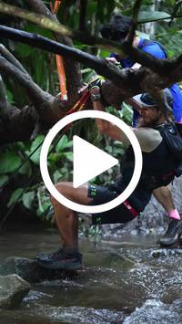 BIB:  <button type="button" onclick="openModal(27240237)" class="btn btn-primary btn-sm float-right" data-toggle="modal" data-target=".modal-high-quality">
                <i class="fa fa-download"></i> Download
                </button>